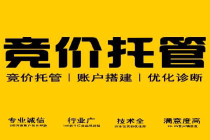 SEM网络推广案例：精准营销助力品牌成长